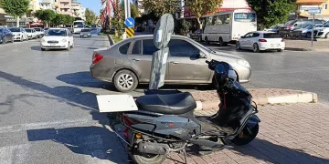 Yavru kediler varilde ölü bulundu