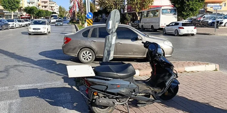 Yavru kediler varilde ölü bulundu