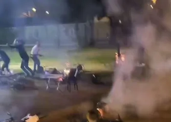 Araçların hurdaya döndüğü kazada 5 kişi yaralandı