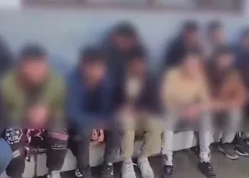 Denizdeki hayvan leşi Sahil Güvenliği alarma geçirdi