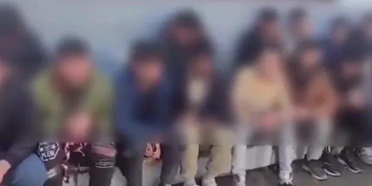 Denizdeki hayvan leşi Sahil Güvenliği alarma geçirdi