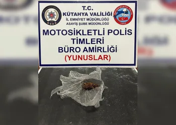 Ormanlık alanda yıldırım düşmesi sonucu çıkan yangın söndürüldü