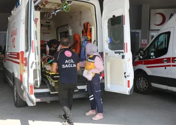 Edirne’de kaçak göçmen operasyonu: Kıskıvrak yakalandılar
