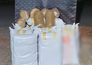 Diyarbakır’da E-MTSK sınav şebekesine ‘Cımbız’ operasyonu: 3 tutuklama