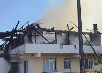 Menteşe’de orman yangını, söndürme çalışmaları sürüyor