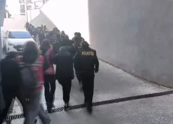 Yavru kediler varilde ölü bulundu