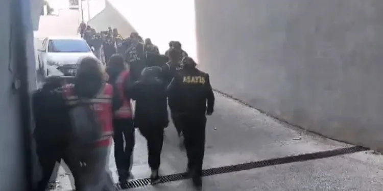 Yavru kediler varilde ölü bulundu