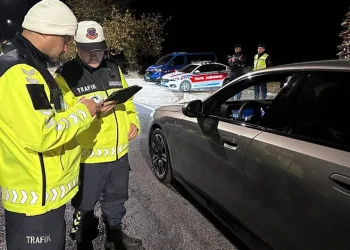Ormanlık alanda yıldırım düşmesi sonucu çıkan yangın söndürüldü