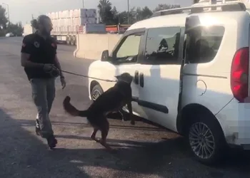 Mardin’de park halindeki otomobilden hırsızlık güvenlik kamerasına yansıdı