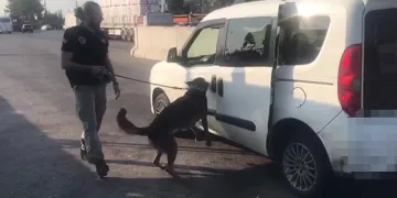 Mardin’de park halindeki otomobilden hırsızlık güvenlik kamerasına yansıdı