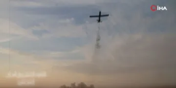 Filistin destekçilerine polisten müdahale