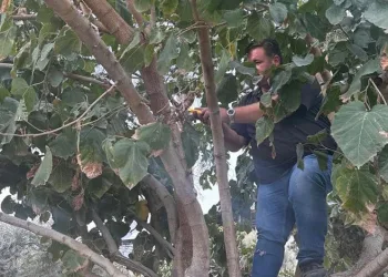 Jandarma şüphesinde haklı çıktı
