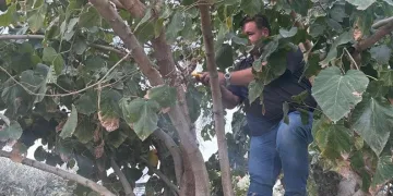 Jandarma şüphesinde haklı çıktı