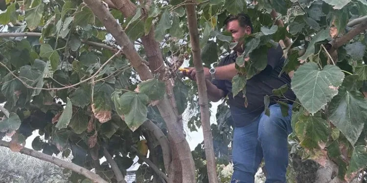Jandarma şüphesinde haklı çıktı