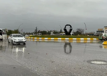Denizdeki hayvan leşi Sahil Güvenliği alarma geçirdi