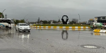 Denizdeki hayvan leşi Sahil Güvenliği alarma geçirdi