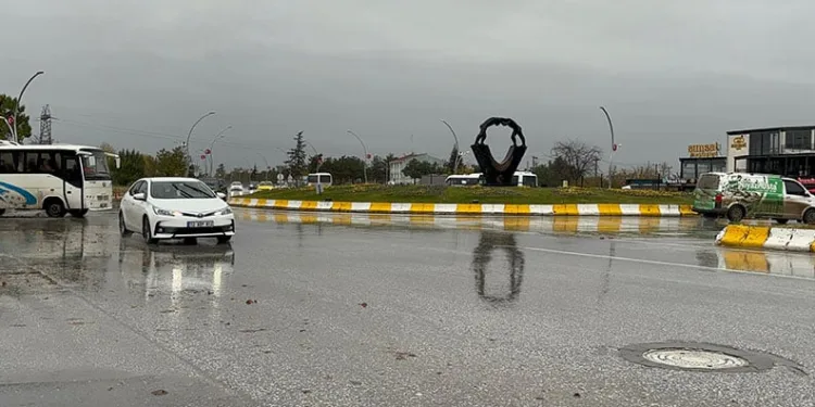 Denizdeki hayvan leşi Sahil Güvenliği alarma geçirdi