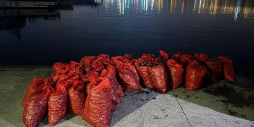 Arnavutköy’de bir çocuk düşürdüğü parasını almak için girdiği anıtta mahsur kaldı