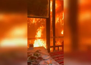 Edirne’de kaçak göçmen operasyonu: Kıskıvrak yakalandılar