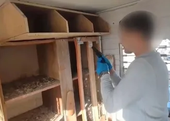 Düğün konvoyunda kaza: 4 yaralı