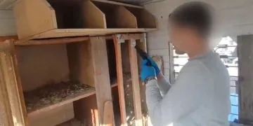 Düğün konvoyunda kaza: 4 yaralı