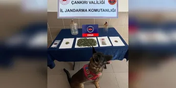 Asker eğlencesinde ses sistemi kavgası