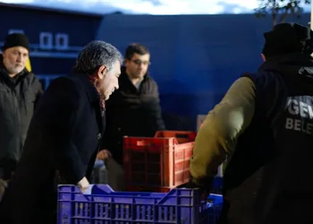 Gemlik Belediyesi’den, zeytin üreticisine 3 milyon liralık destek