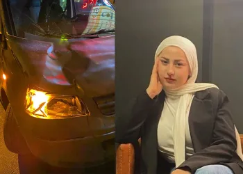 Çeşitli suçlardan aranan 2 şahıs jandarma tarafından yakalandı
