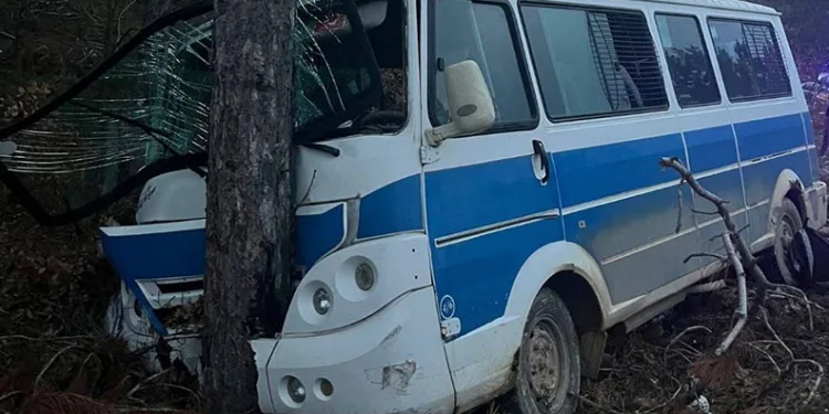 Kontrolden çıkan minibüs ağaca çarptı: 5 yaralı