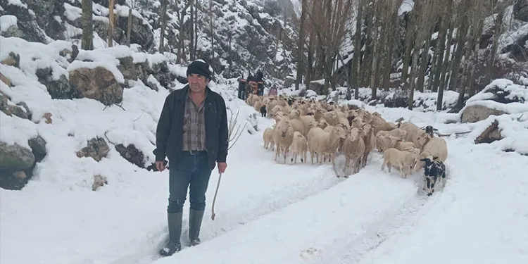 Burdur’da sürüsüyle birlikte mahsur kalan çoban kurtarıldı