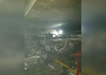 Narin cinayeti davası sanığı Nevzat Bahtiyar: ”Narin’i ben öldürmedim, sadece taşıdım’’