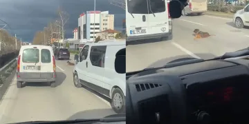 Bursa’da köpeğin keyfi trafiğe kilitledi