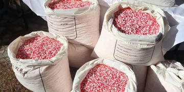 Yılbaşı öncesi emniyetten rekor uyuşturucu operasyonu