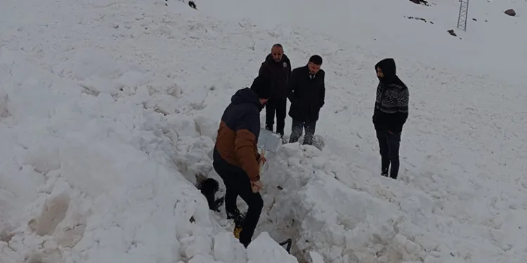 Şırnak’ta çığ düştü, kepçe operatörü ölümden döndü