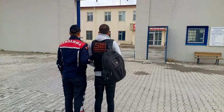 Kontrolden çıkan araç üzüm bağına uçtu