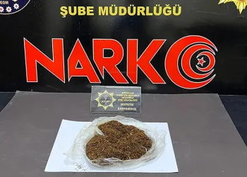 Suç makinesi kardeşleri Nazilli polisi affetmedi