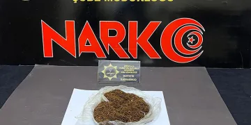 Suç makinesi kardeşleri Nazilli polisi affetmedi