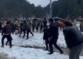Hamsi festivalinde yumruklar havada uçuştu