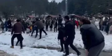 Hamsi festivalinde yumruklar havada uçuştu