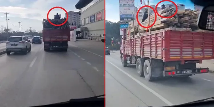Kereste yüklü kamyonun üstünde ölüme meydan okudular