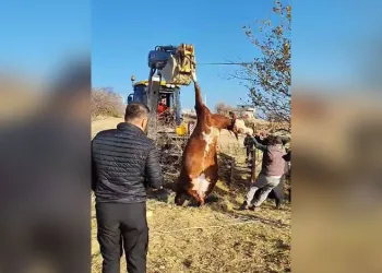 Sahte banka kartı ve kredi kartı üreten şahıs Ayvalık polisinden kaçamadı