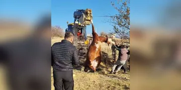 Sahte banka kartı ve kredi kartı üreten şahıs Ayvalık polisinden kaçamadı