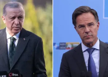 Cumhurbaşkanı Erdoğan, NATO Genel Sekreteri Rutte ile görüştü