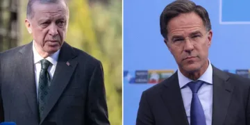 Cumhurbaşkanı Erdoğan, NATO Genel Sekreteri Rutte ile görüştü