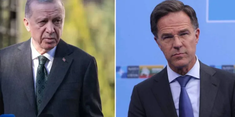 Cumhurbaşkanı Erdoğan, NATO Genel Sekreteri Rutte ile görüştü