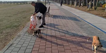 Sokak hayvanlarına kış desteği