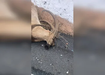 Karadeniz Ereğli’de operasyonda 1 kilogram uyuşturucu ele geçirildi