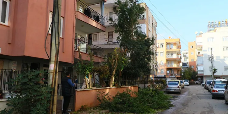 Ağaç budarken mahallenin elektriğini kesti
