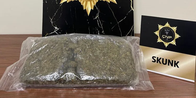 Çanakkale’de uyuşturucu operasyonuna 2 tutuklama