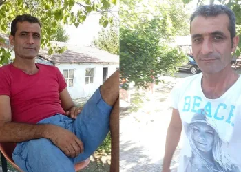 Ağaç keserken kafasına yamaçtan taş düşen adam hayatını kaybetti